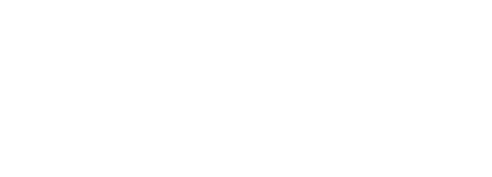 Virtuesoft